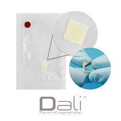 Dali-Flex-1-2