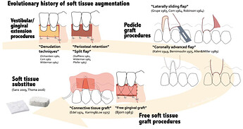 soft_tissue_1_history