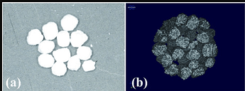 Clinical view of 3DPHA‐PCL particles.